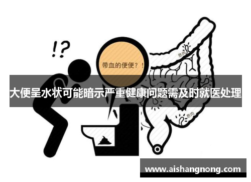 大便呈水状可能暗示严重健康问题需及时就医处理