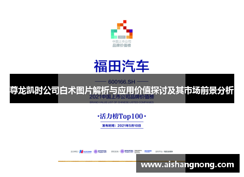 尊龙凯时公司白术图片解析与应用价值探讨及其市场前景分析