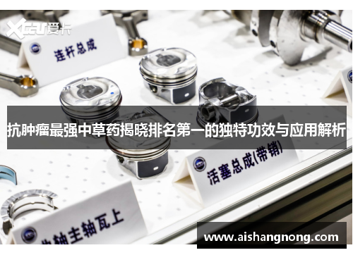 抗肿瘤最强中草药揭晓排名第一的独特功效与应用解析
