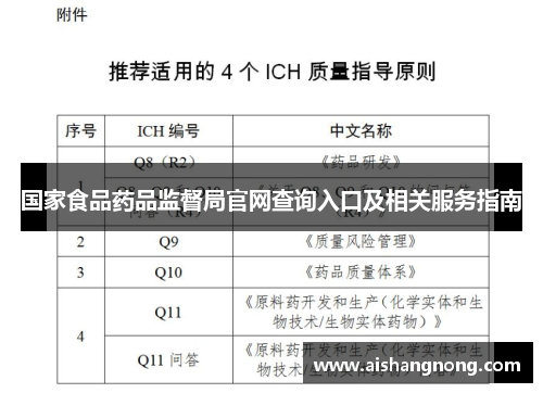 国家食品药品监督局官网查询入口及相关服务指南