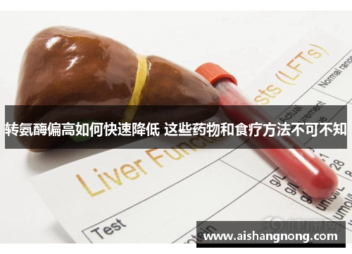 转氨酶偏高如何快速降低 这些药物和食疗方法不可不知